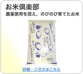商品紹介・通信販売 お米倶楽部はこちら