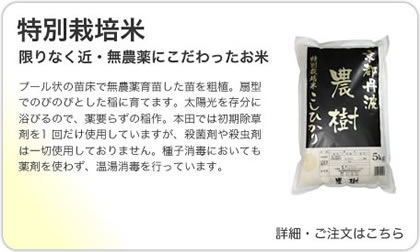 特別栽培米の商品詳細はこちら
