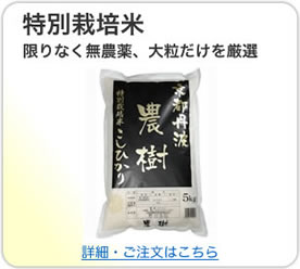 商品紹介・通信販売 特別栽培米はこちら