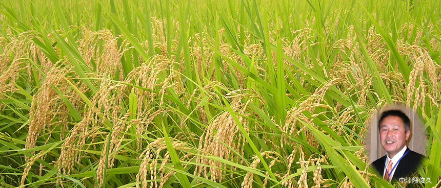 ph_ricefield6 ph ricefield6 会社案内